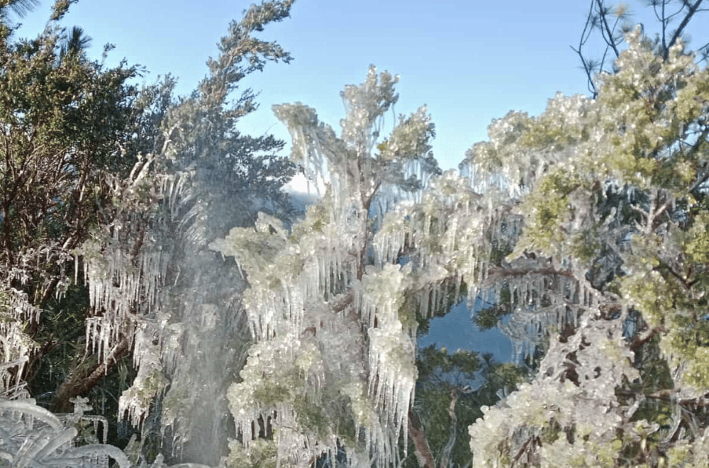 Photo courtesy: Henry Lacbawan