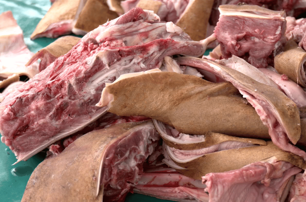 Photo via GMA Regional TV One North Central Luzon