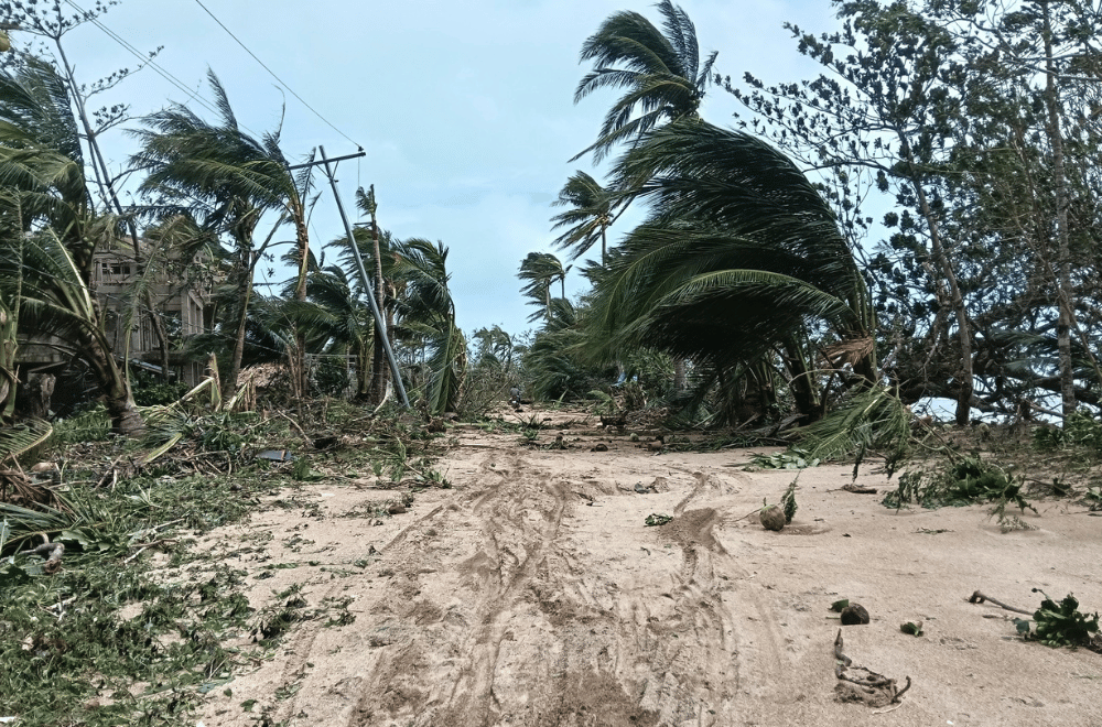 Photo courtesy: Bonifacio Pascua Fronda