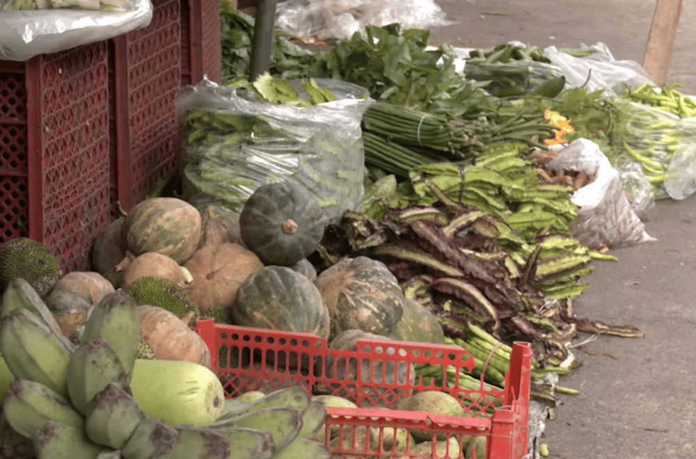 Photo via GMA Regional TV One North Central Luzon