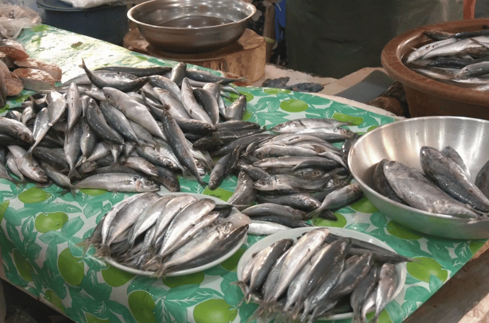 Image via GMA Regional TV One North Central Luzon