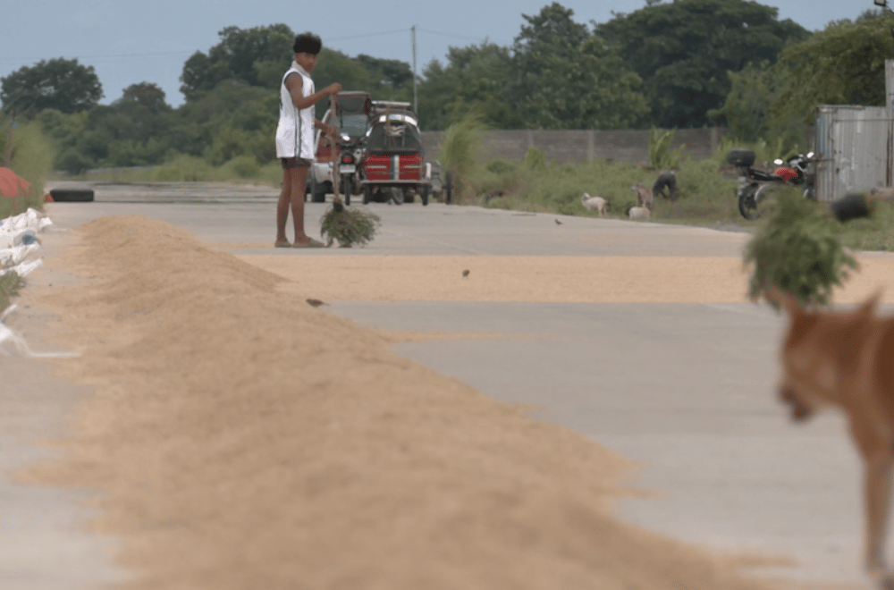 Photo via GMA Regional TV One North Central Luzon