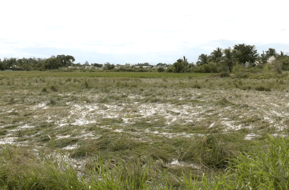 Photo via GMA Regional TV One North Central Luzon