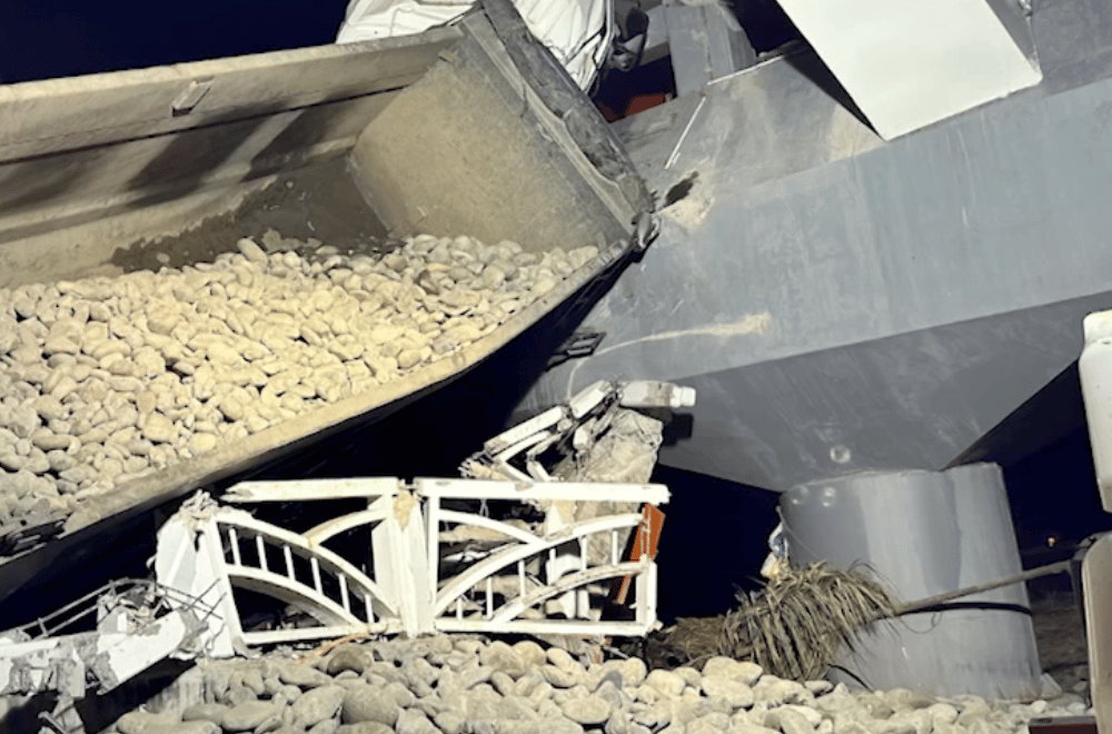 Photo courtesy: John-Cris Gazzingan Cabasag