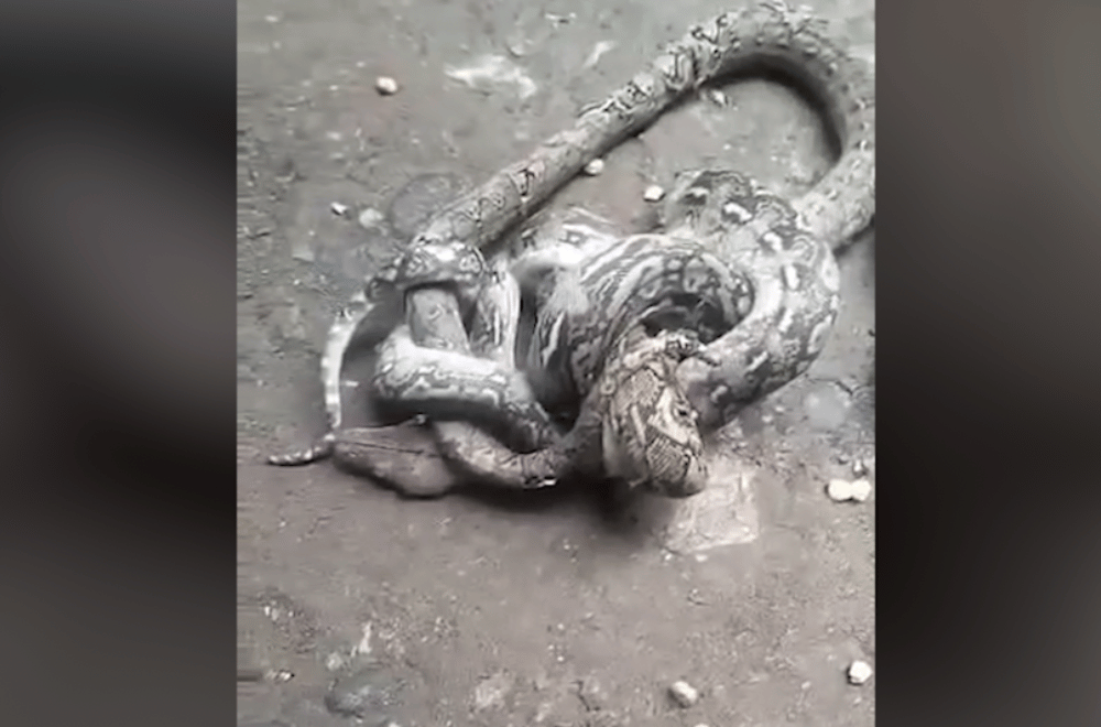 Photo courtesy: Explore Lasam, Cagayan