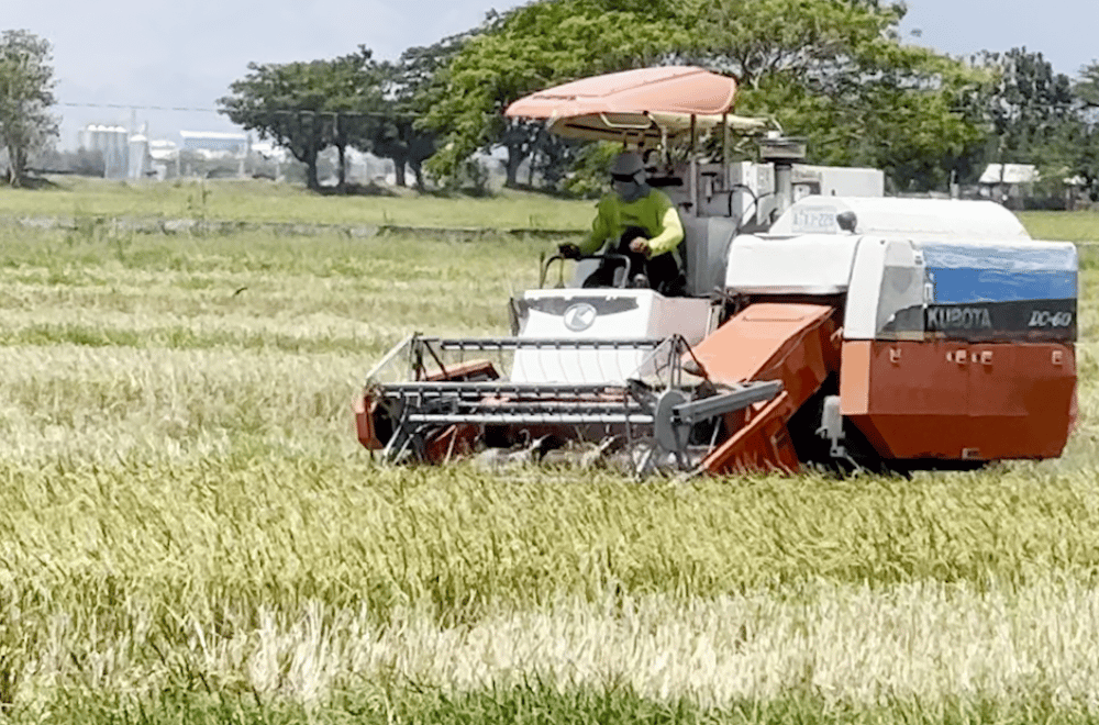 Photo via GMA Regional TV One North Central Luzon