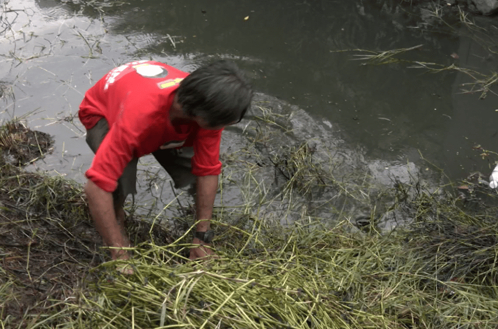 Photo via GMA Regional TV One North Central Luzon