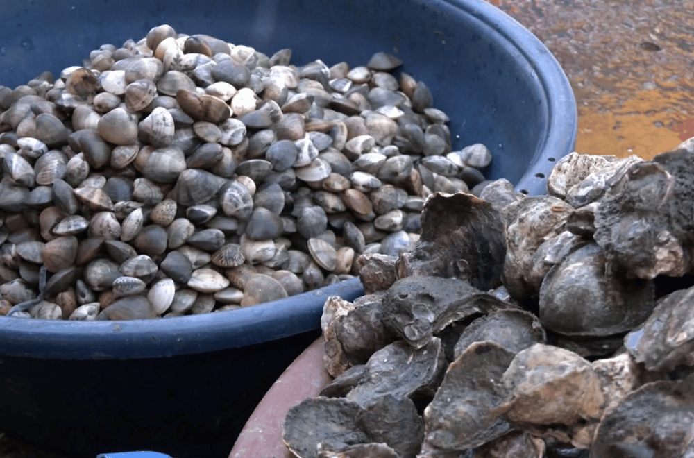 Photo via GMA Regional TV One North Central Luzon