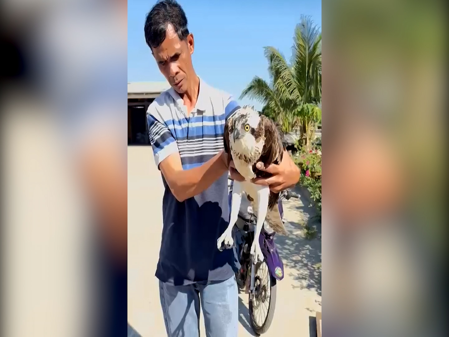 Photo courtesy: Heidie Remie Batarina Longayan