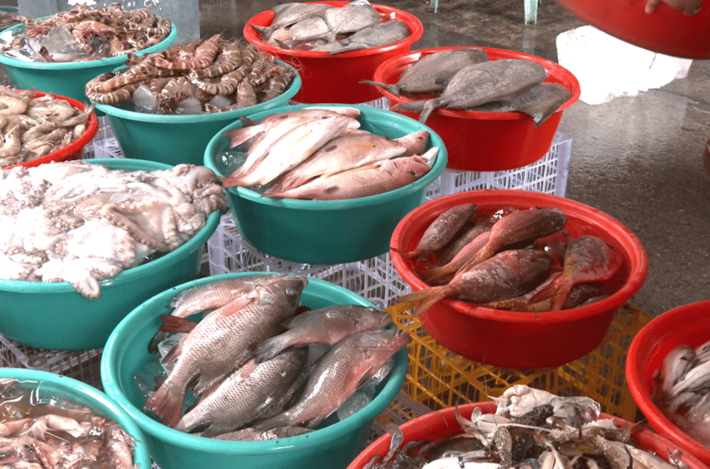 Photo via GMA Regional TV One North Central Luzon