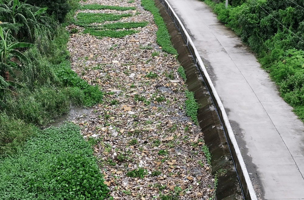 Photo via GMA Regional TV One North Central Luzon