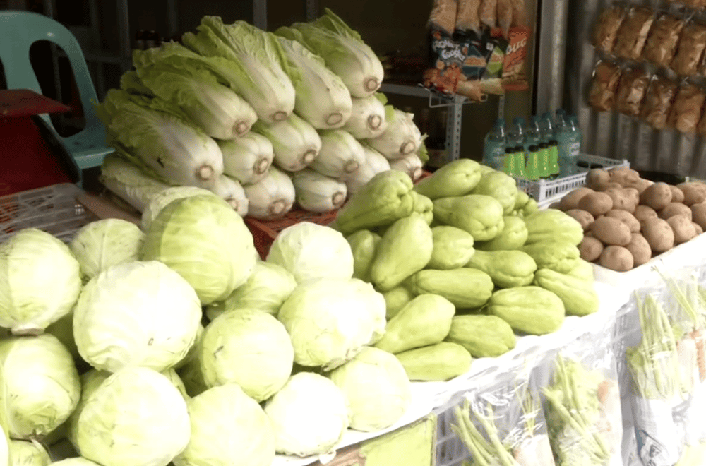 Photo via GMA Regional TV One North Central Luzon