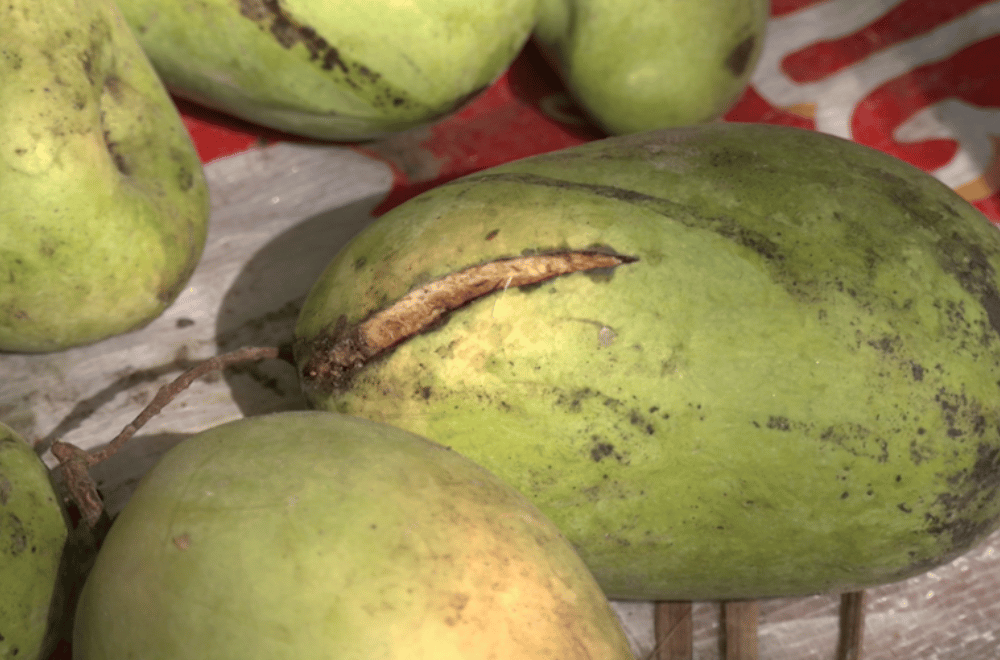 Photo via GMA Regional TV One North Central Luzon