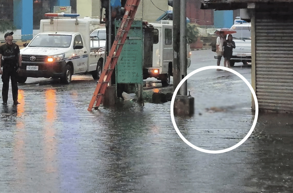 Photo courtesy: Eric Sim Brizuela