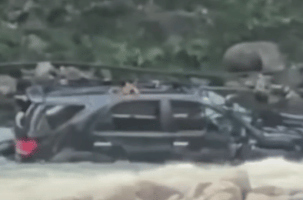 Photo courtesy: Dalupirip BDRRMO via 24 Oras Weekend