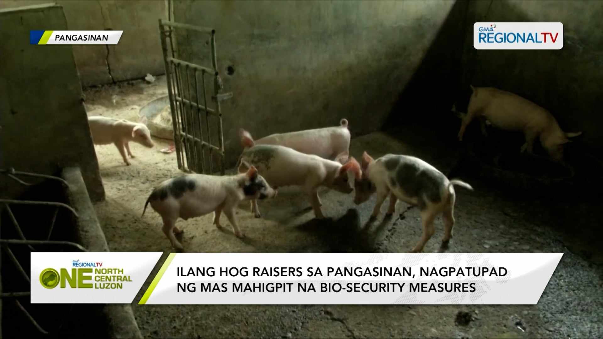 Ilang hog raisers, nagpatupad ng mas mahigpit na bio-security measures