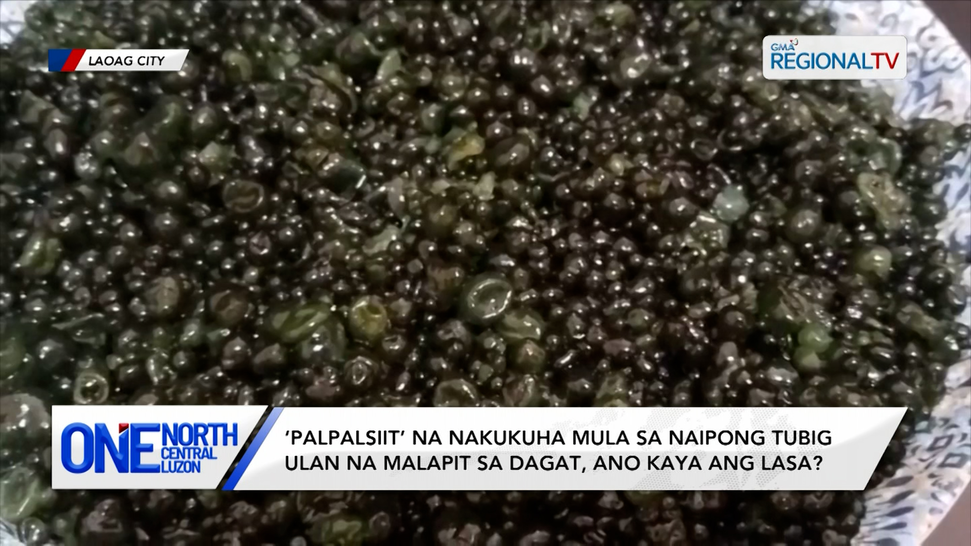 ‘Palpalsiit’ na isang Ilocano exotic food, ating tikman