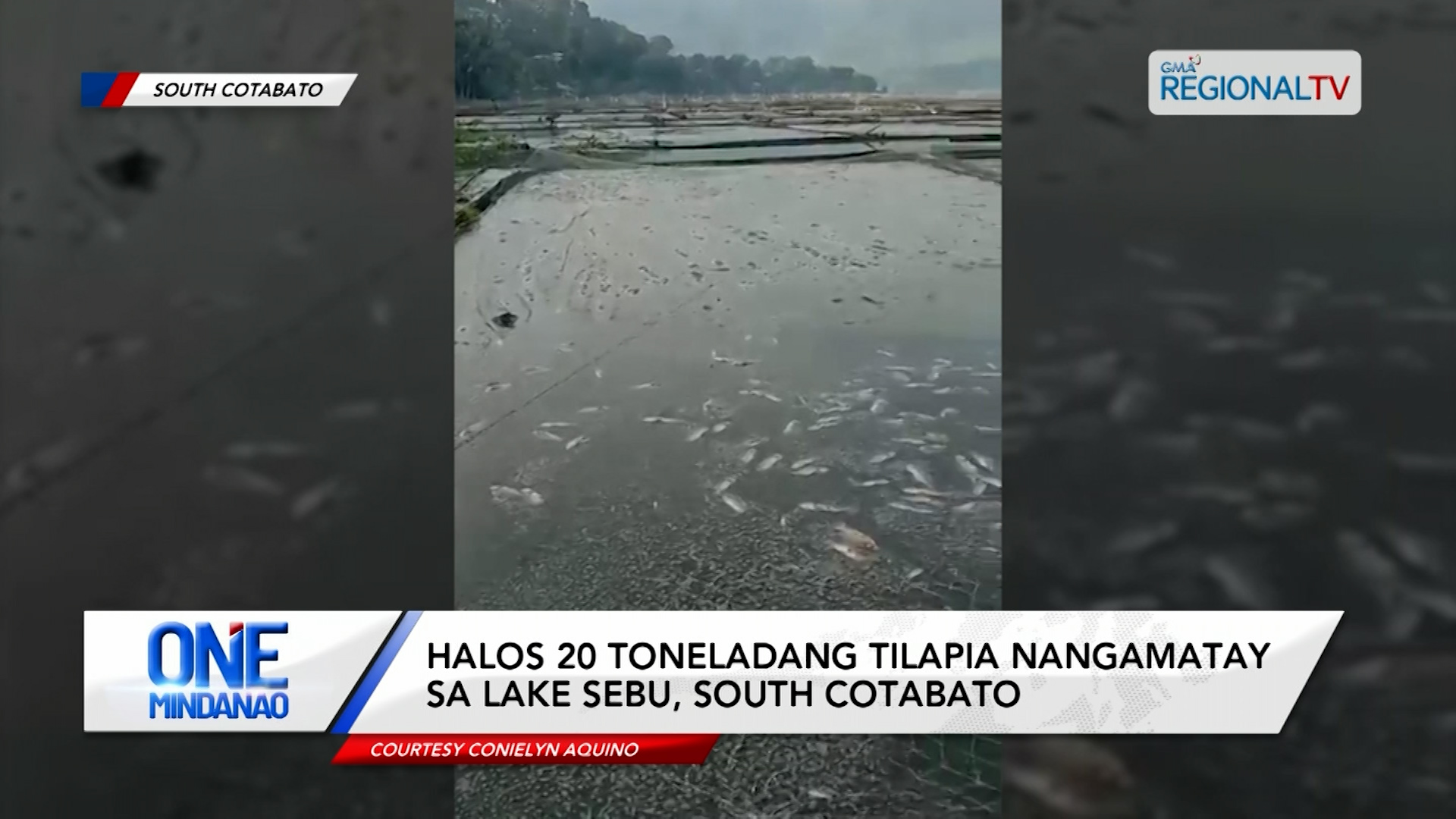 Halos 20 toneladang tilapia nangamatay sa Lake Sebu, South Cotabato