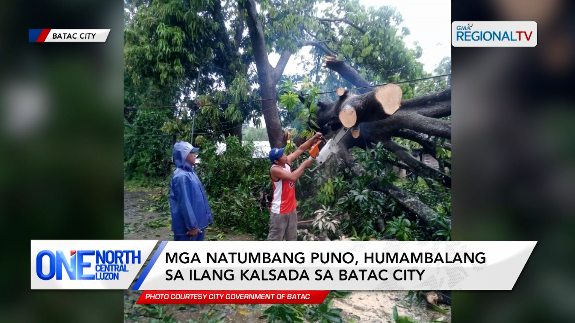 Mga natumbang puno, humambalang sa ilang kalsada sa Batac City