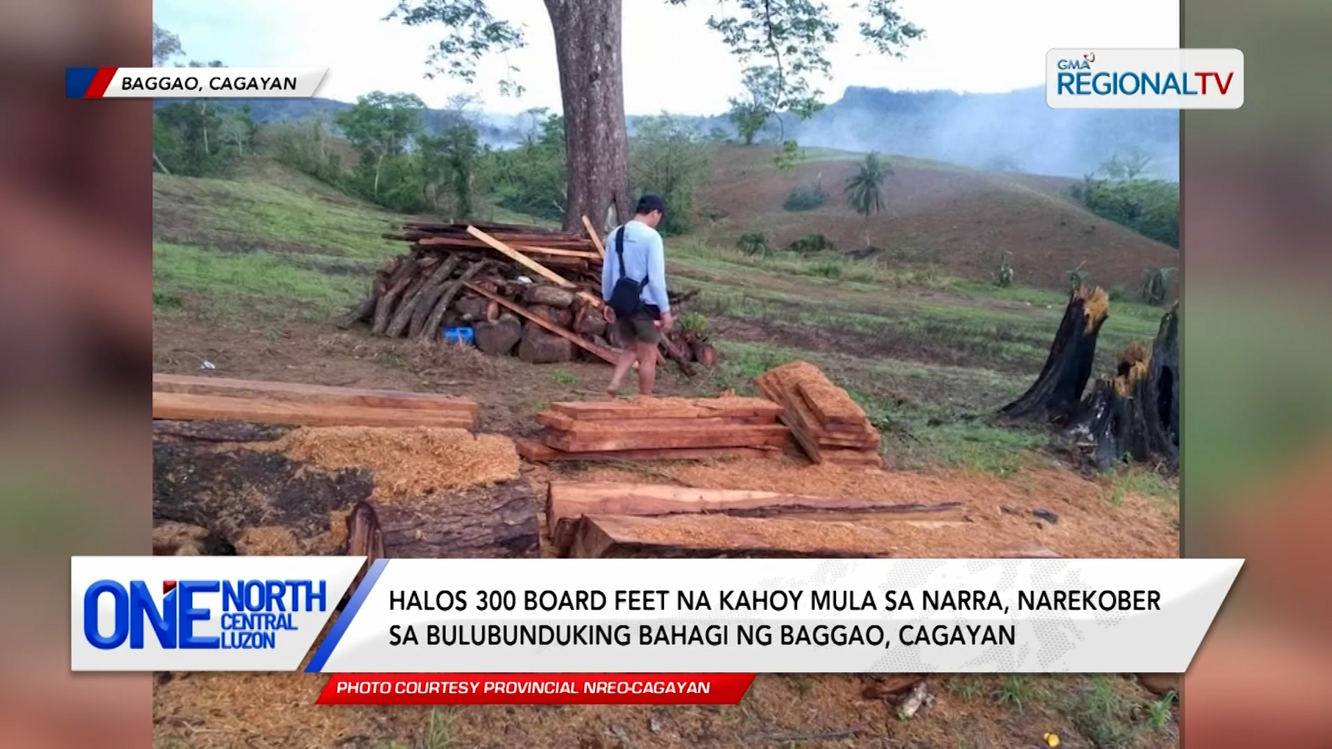 Halos 300 board feet na kahoy mula sa narra, narekober sa Baggao, Cagayan