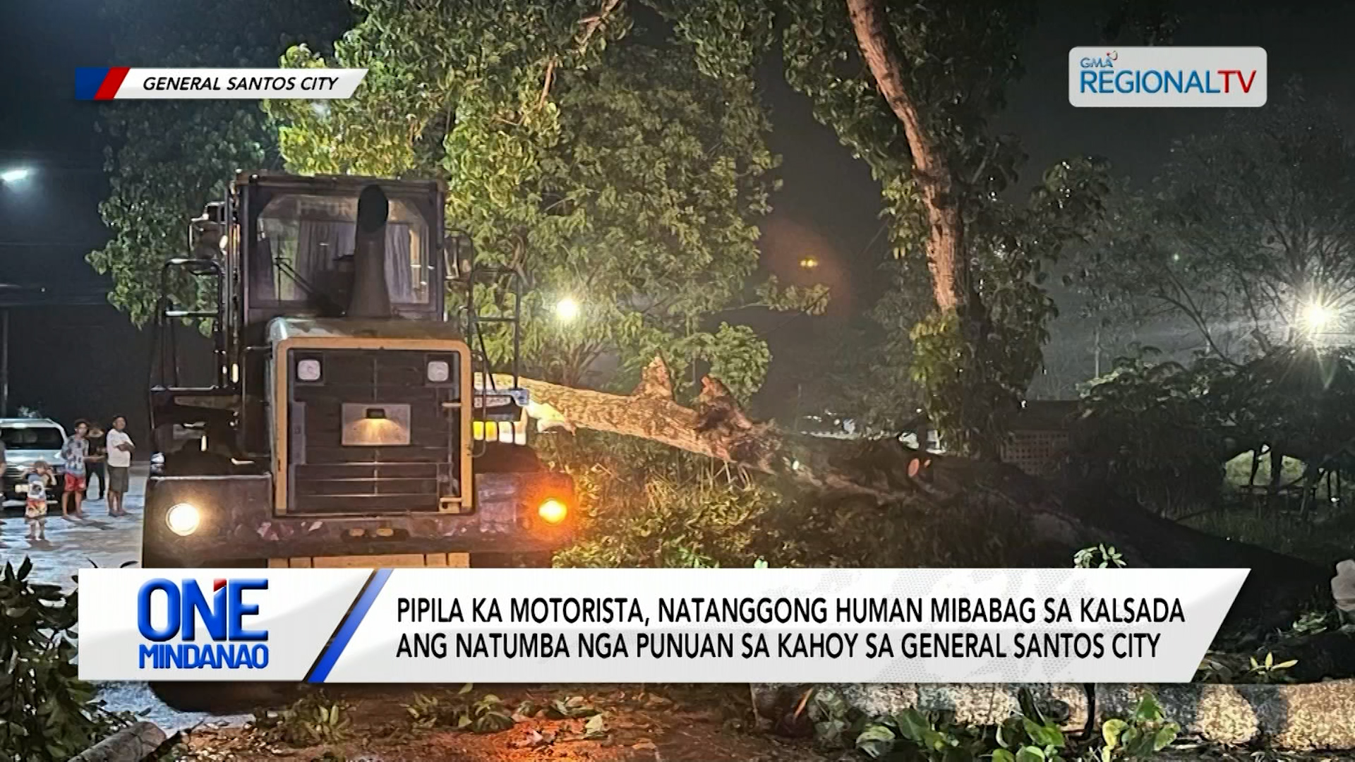 Pipila ka motorista, natanggong kay mibabag ang natumba nga punuan sa kahoy
