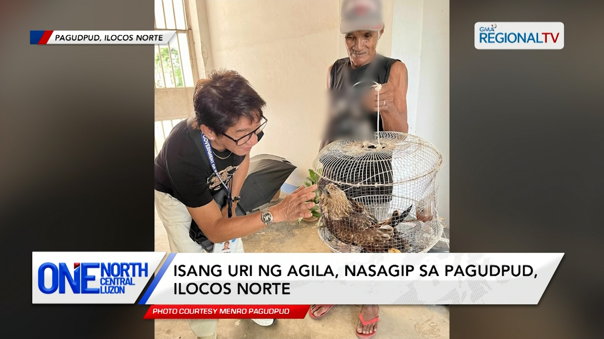 Isang uri ng Agila, nasagip sa Pagudpud, Ilocos Norte | One North Central Luzon