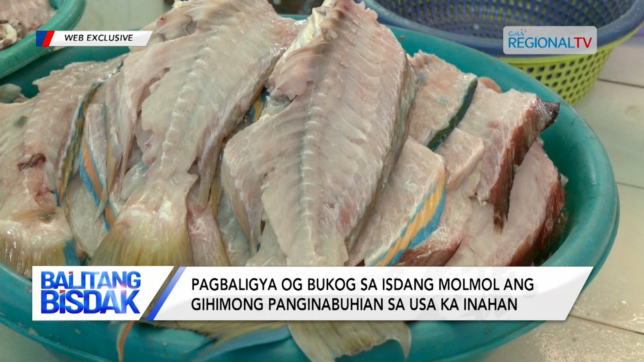 Pagbaligya og Bukog sa Isdang Molmol ang Gihimong Panginabuhian sa Usa ka Inahan | Balitang Bisdak