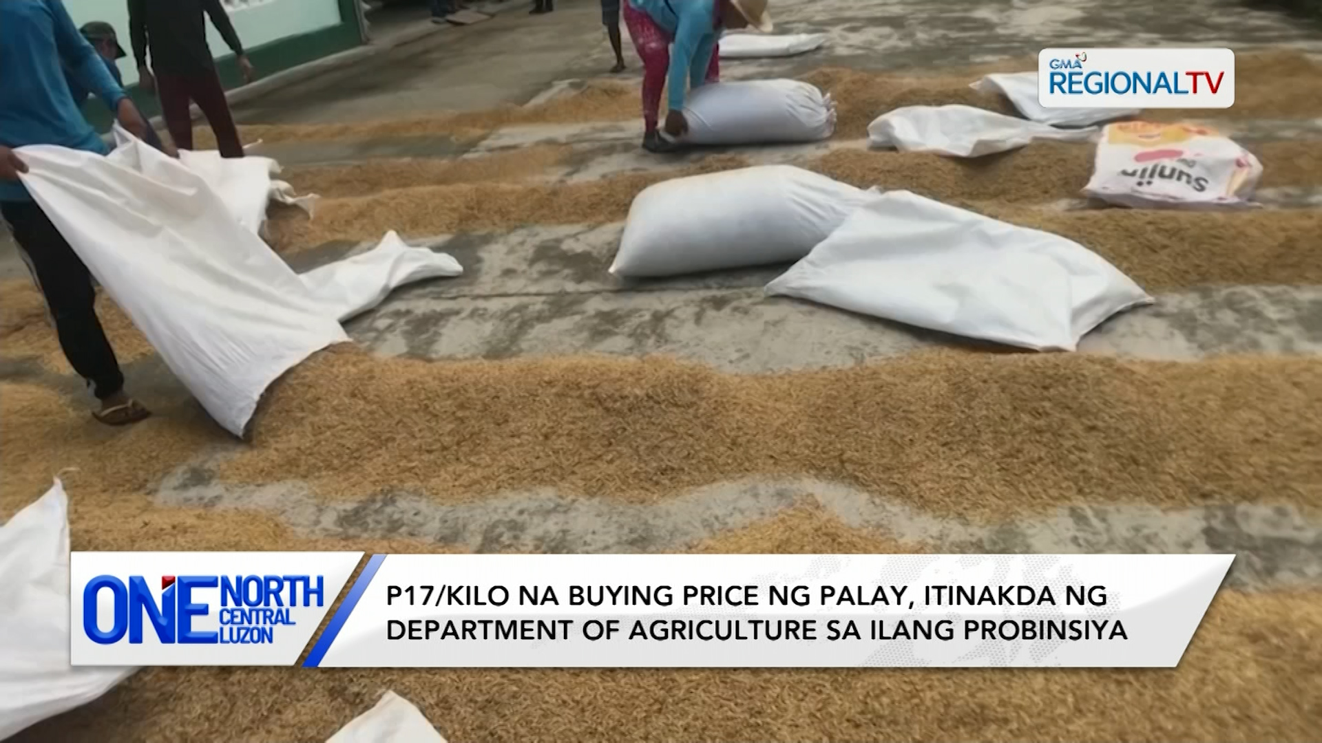 P17/kilo na buying price ng palay, itinakda ng DA sa ilang probinsiya | One North Central Luzon