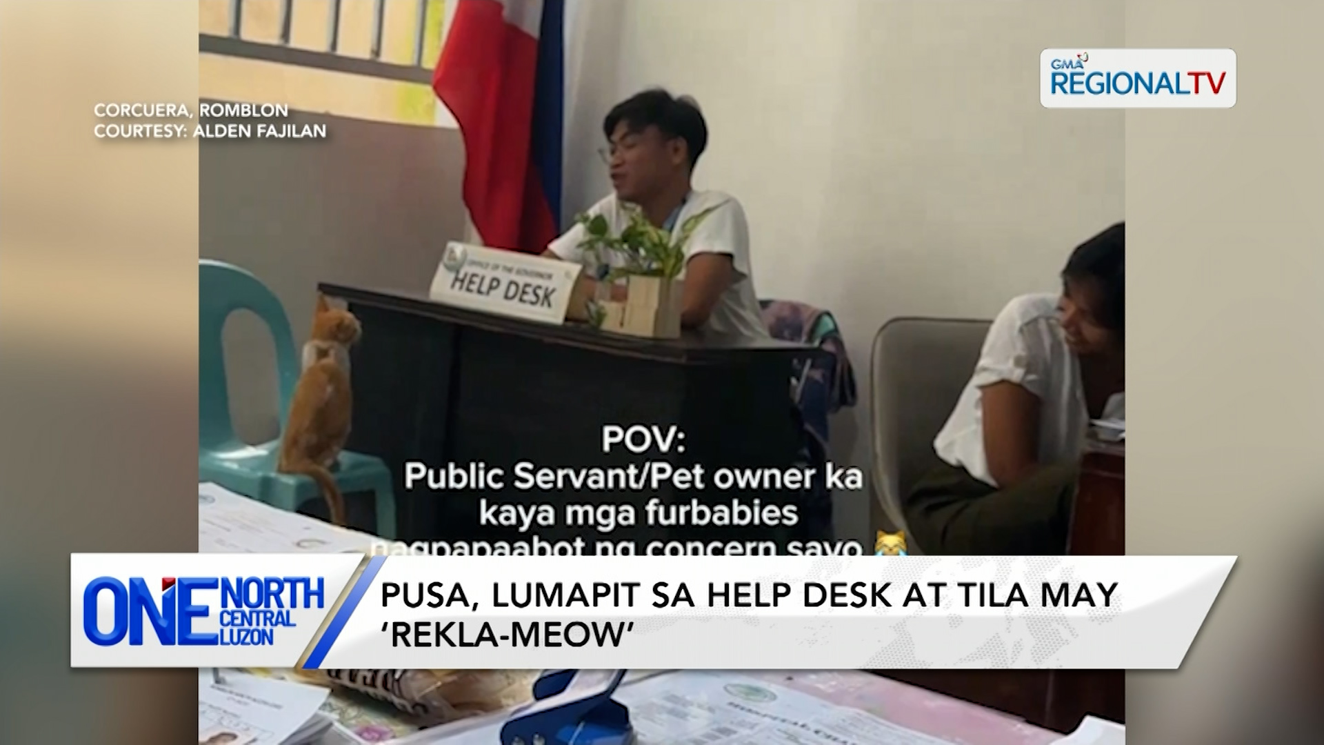 Pusa, lumapit sa help desk at tila may ‘rekla-meow’ | One North Central Luzon
