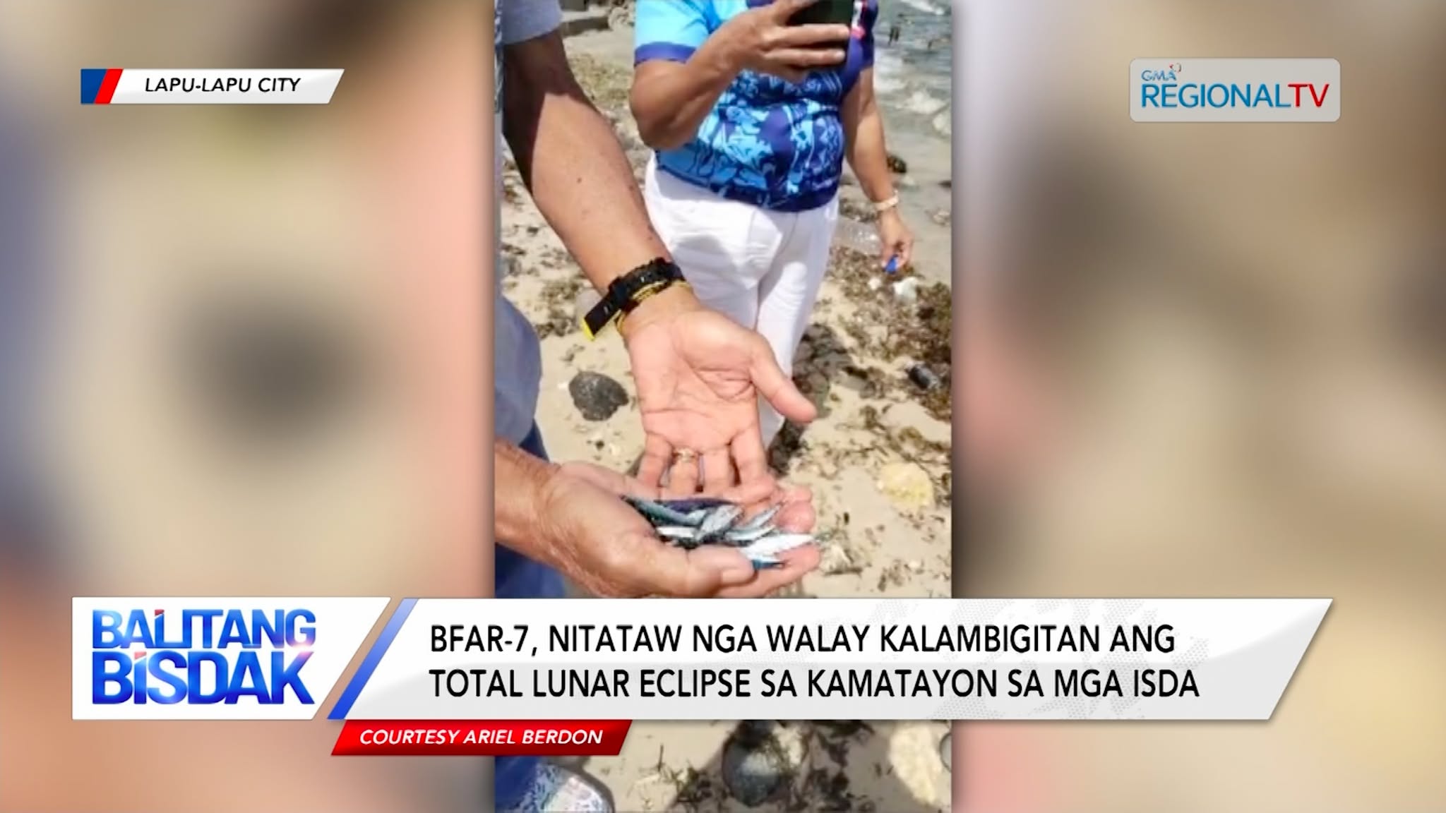 Mga Patay nga Isdang Tamban, nidagsa sa Olango Island | Balitang Bisdak