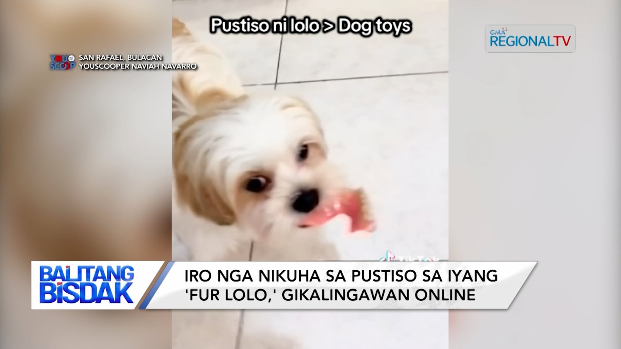 Iro nga nikuha sa Postiso sa iyang ‘Fur Lolo’, Gikalingawan Online | Balitang Bisdak