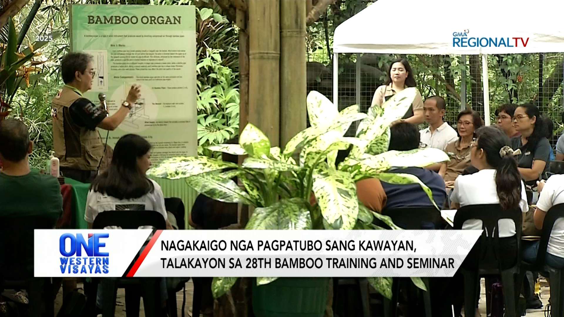 Nagakaigo nga pagpatubo sang kawayan sa 28th Bamboo Training and Seminar | One Western Visayas