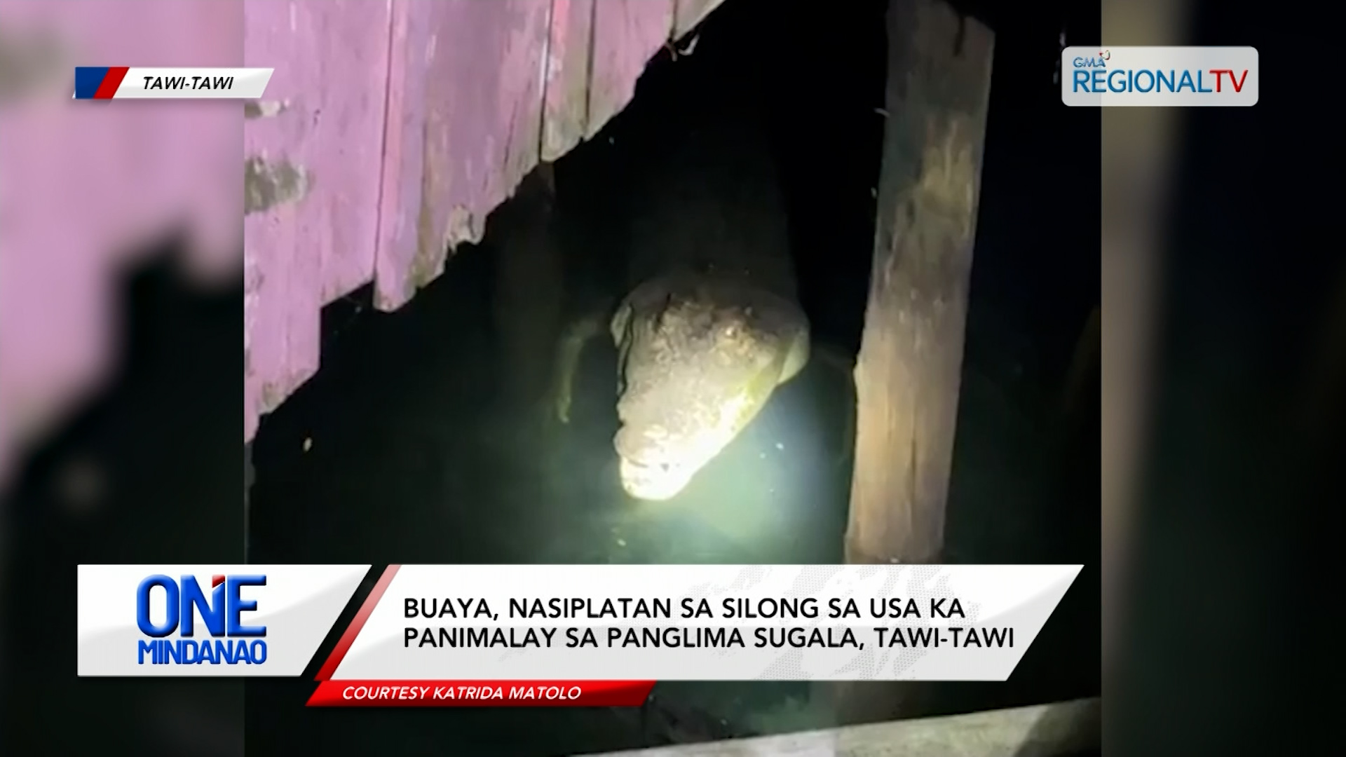 Buaya, nasiplatan sa silong sa usa ka panimalay | One Mindanao
