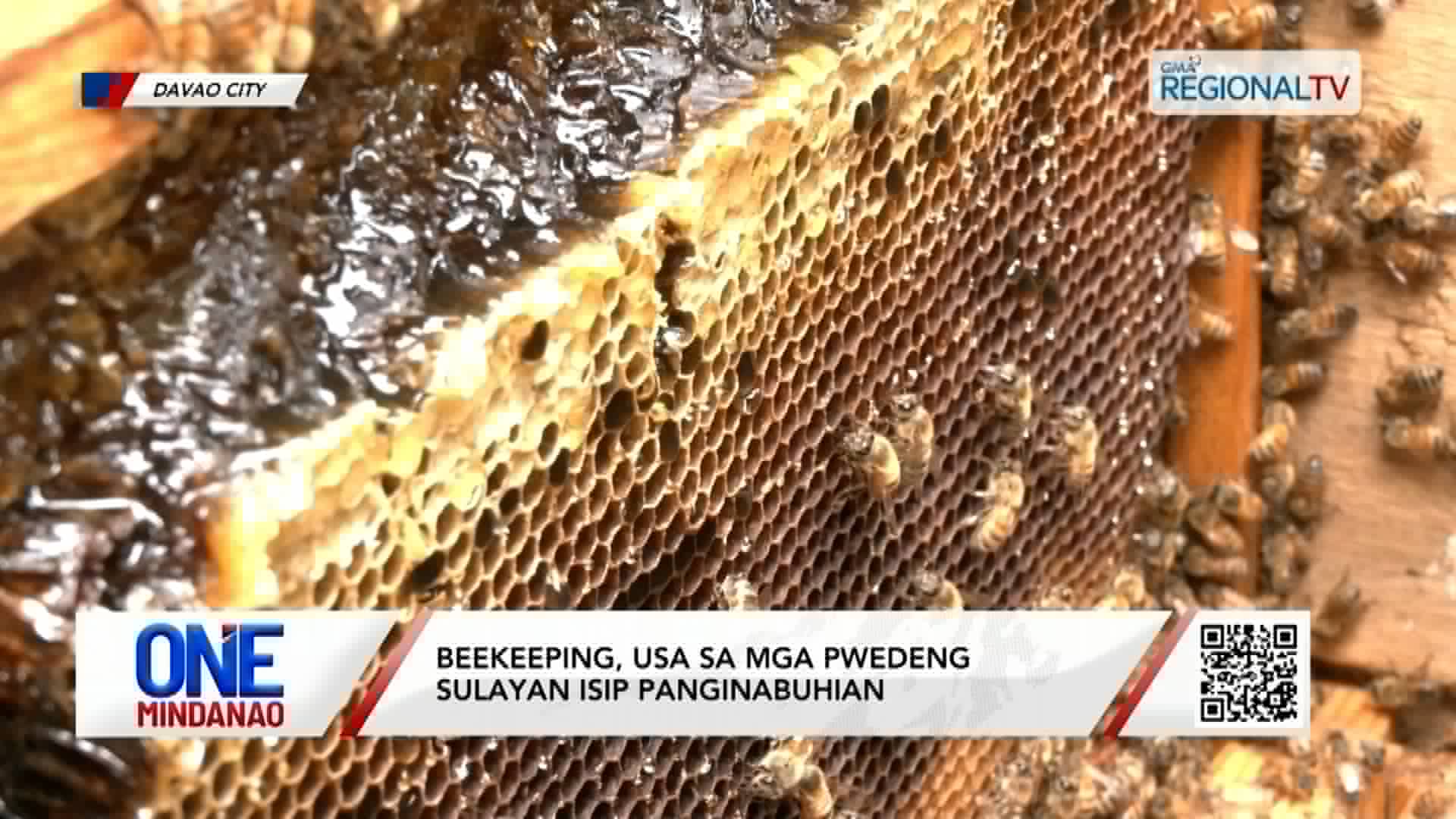 Beekeeping isip panginabuhian I One Mindanao