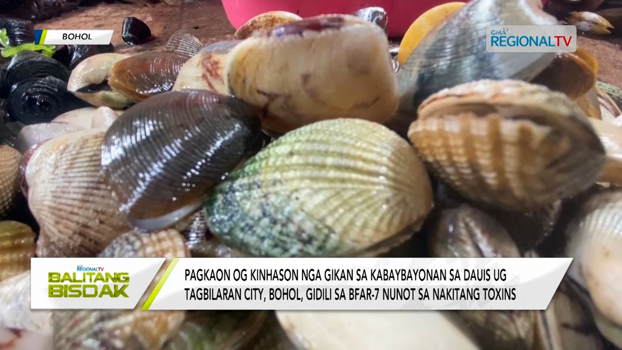 Red tide alert, giisa sa BFAR-7 sa Tagbilaran City ug Dauis, Bohol