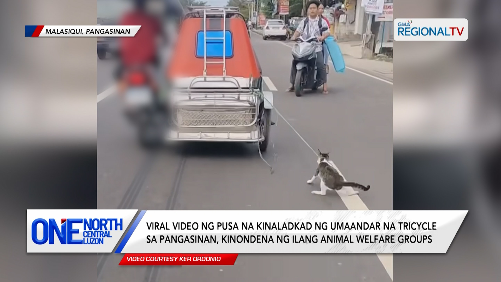 Tricycle driver at kumaladkad sa pusa, humingi ng paumanhin