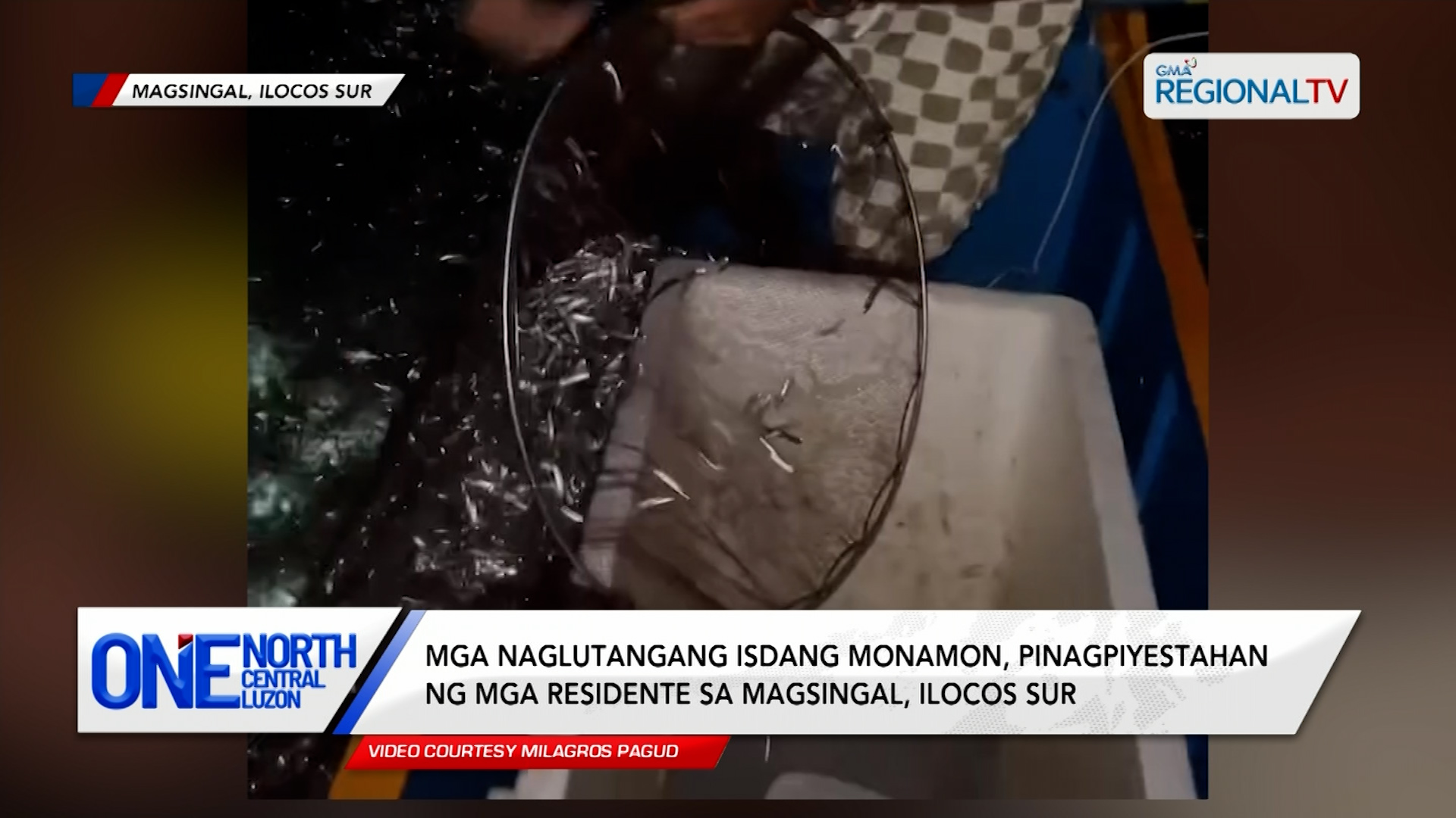 Mga naglutangang isdang monamon, pinagpiyestahan ng mga residente