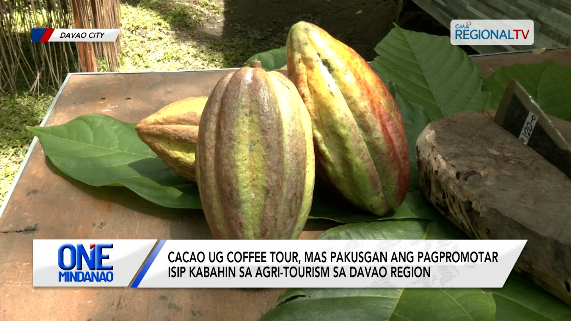 Cacao ug coffee tour, mas pakusgan ang pagpromotar sa Davao Region | One Mindanao