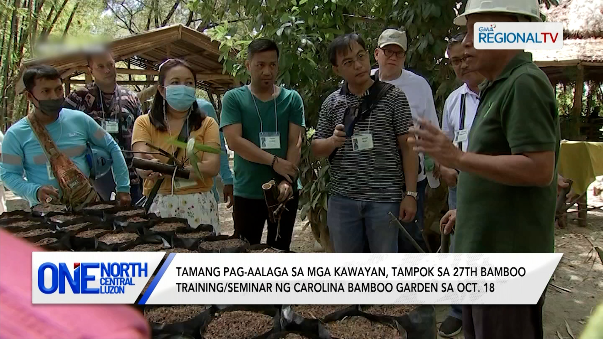 Tamang pag-aalaga sa mga kawayan, tampok sa Carolina Bamboo Garden | One North Central Luzon