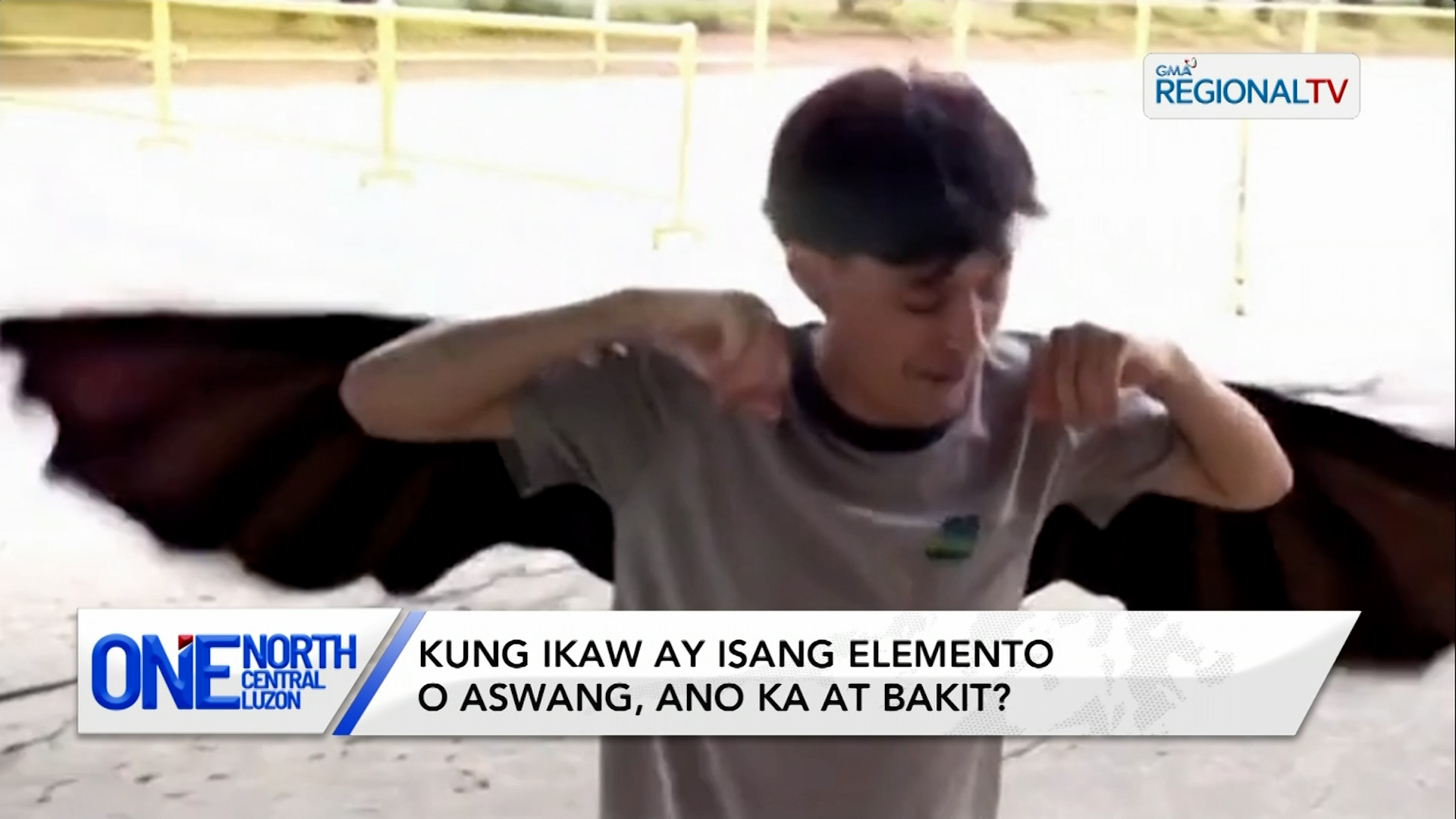 Kung ikaw ay isang elemento o aswang, ano ka at bakit? | One North Central Luzon