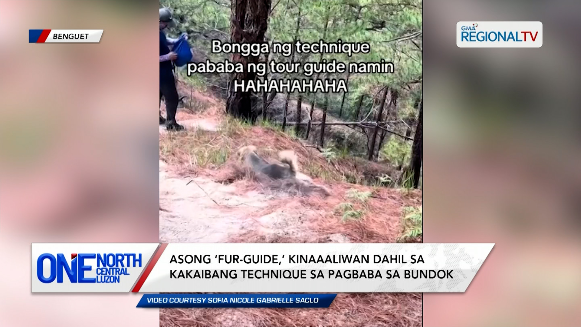 Asong ‘fur-guide,’ kinaaaliwan dahil sa technique sa pagbaba sa bundok | One North Central Luzon