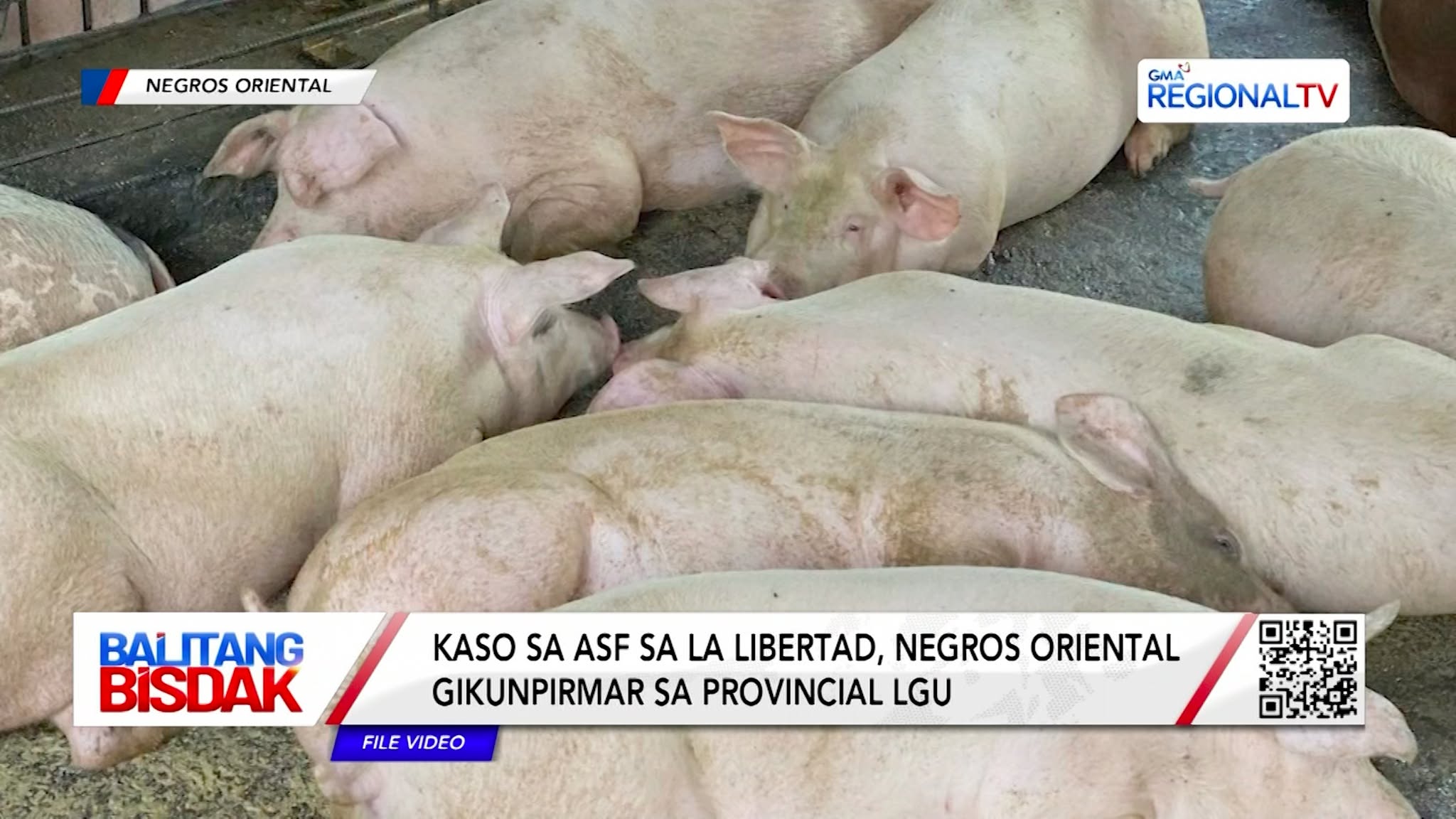 Kaso sa ASF sa La Libertad, Negros Oriental, Gikunpirmar sa Provincial LGU | Balitang Bisdak