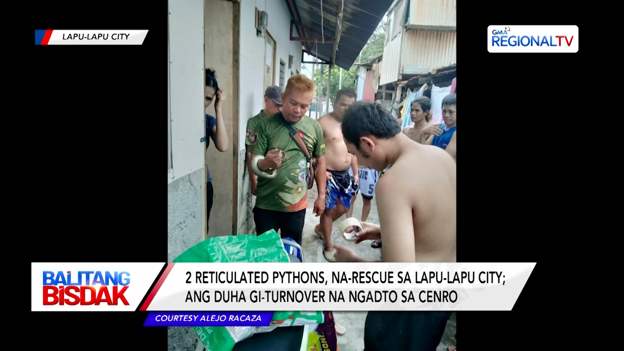 2 Reticulated Python, Na-rescue sa Lapu-Lapu City | Balitang Bisdak