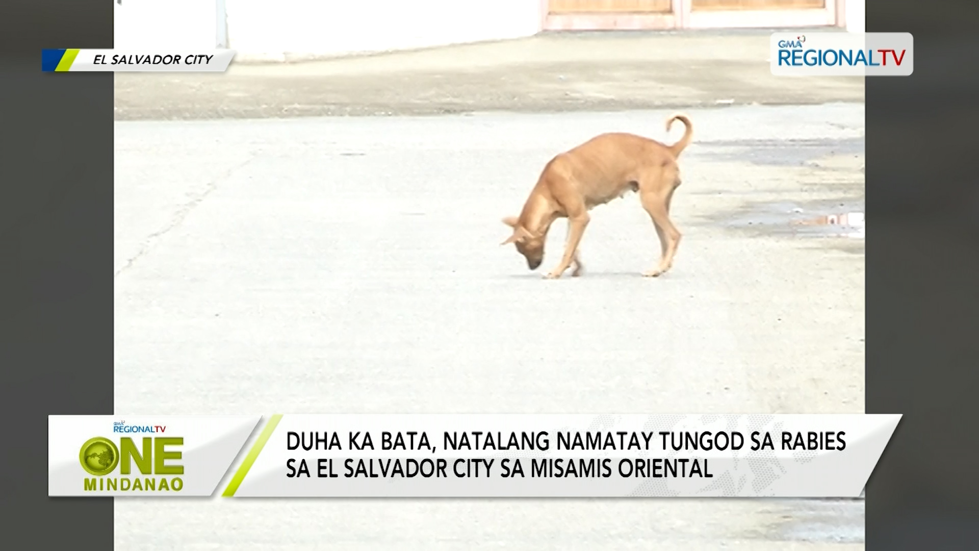 Duha ka bata, natalang namatay tungod sa rabies sa El Salvador City