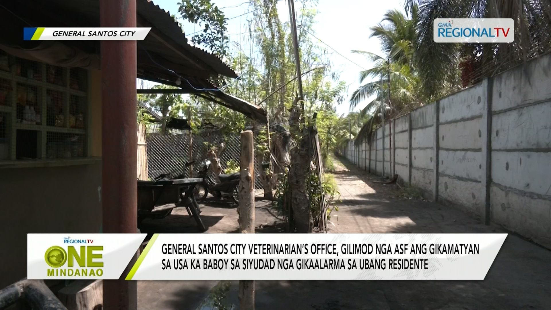 General Santos City Vet, gilimod nga ASF ang gikamatyan sa usa ka baboy sa siyudad