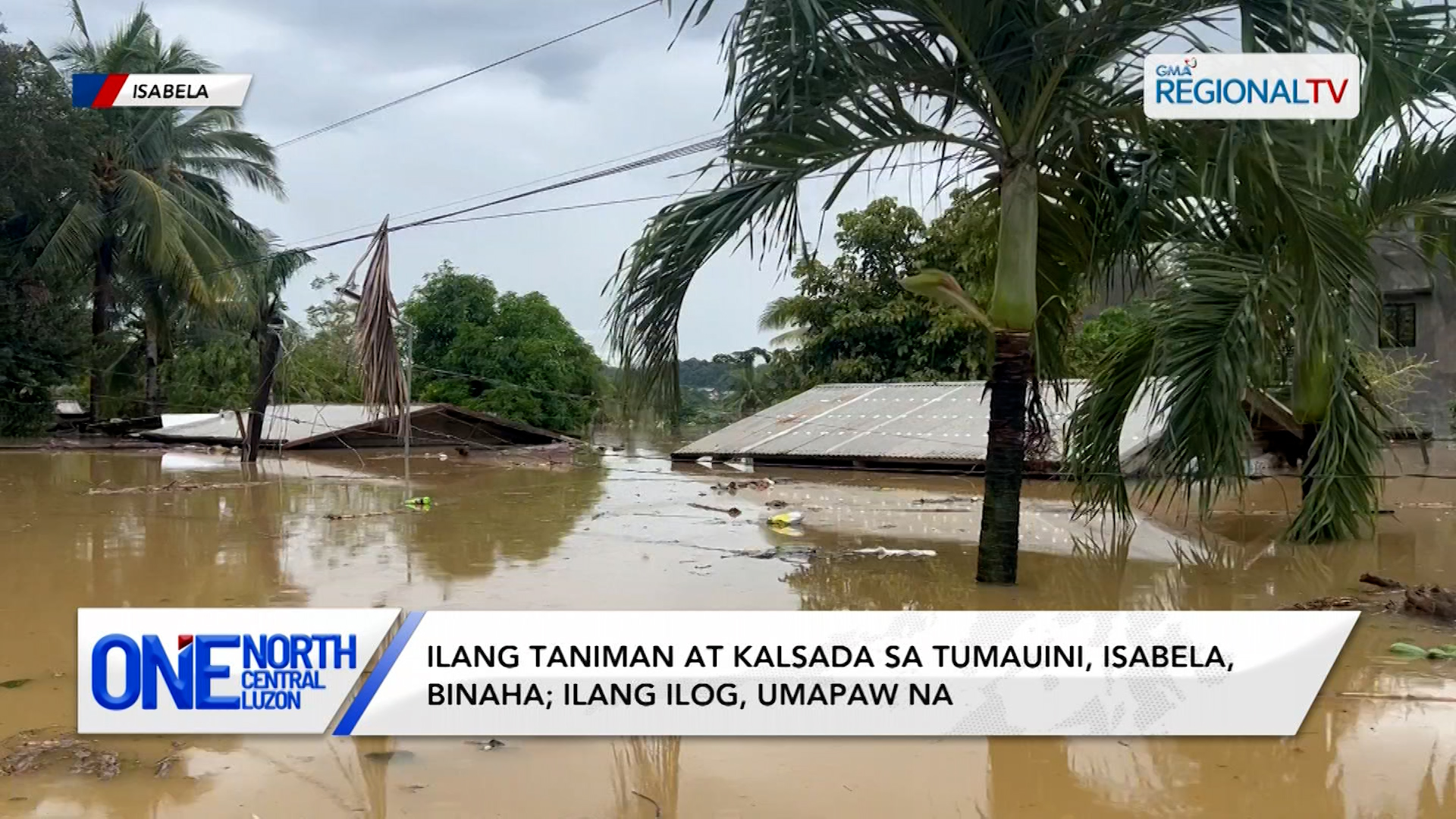 Ilang taniman at kalsada sa Tumauini, Isabela, binaha