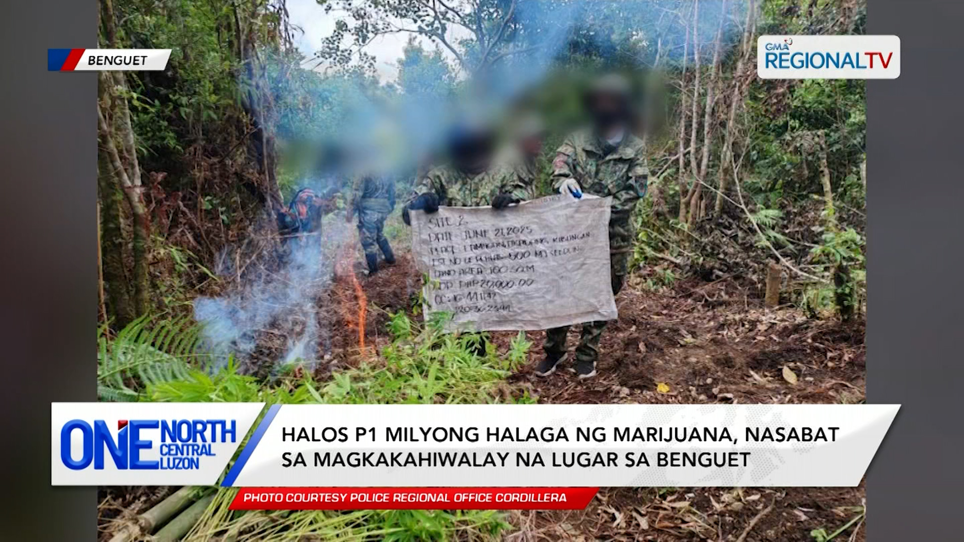Halos P1 milyong halaga ng marijuana, nasabat sa Benguet