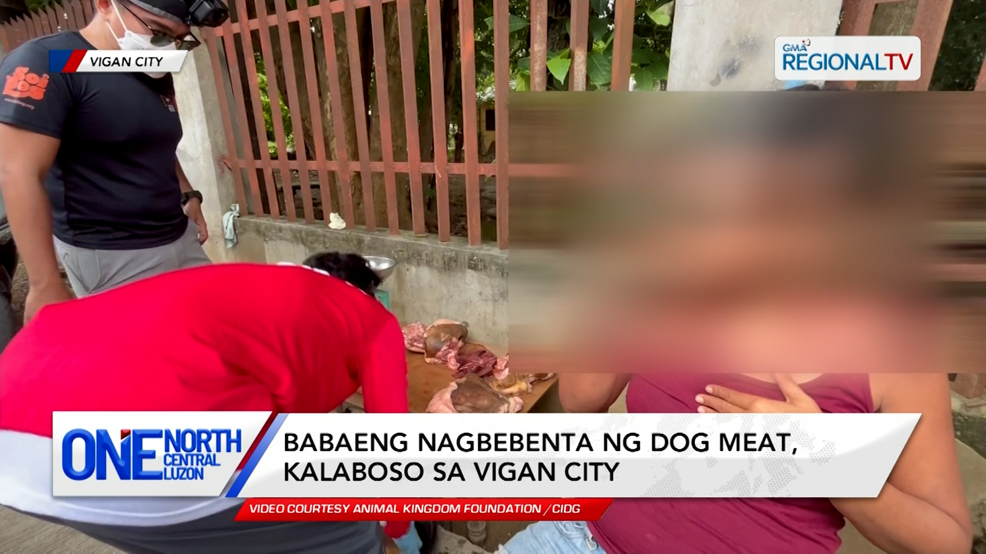 Babaeng nagbebenta ng dog meat, kalaboso sa Vigan City | One North Central Luzon