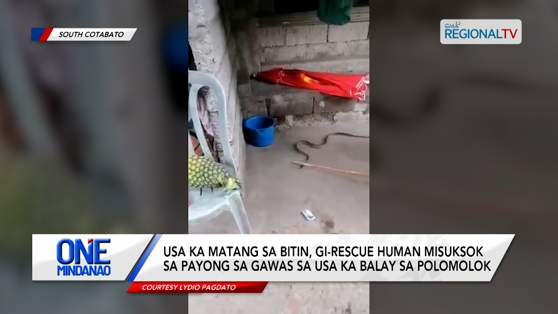 Usa ka iro, naluwas human nalanag sa nakaon nga baki | One Mindanao