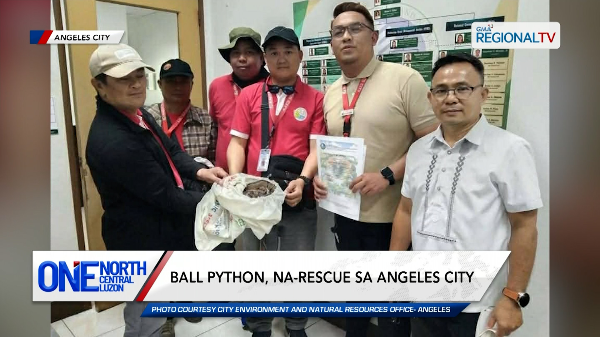 Ball python, na-rescue sa Angeles City | One North Central Luzon